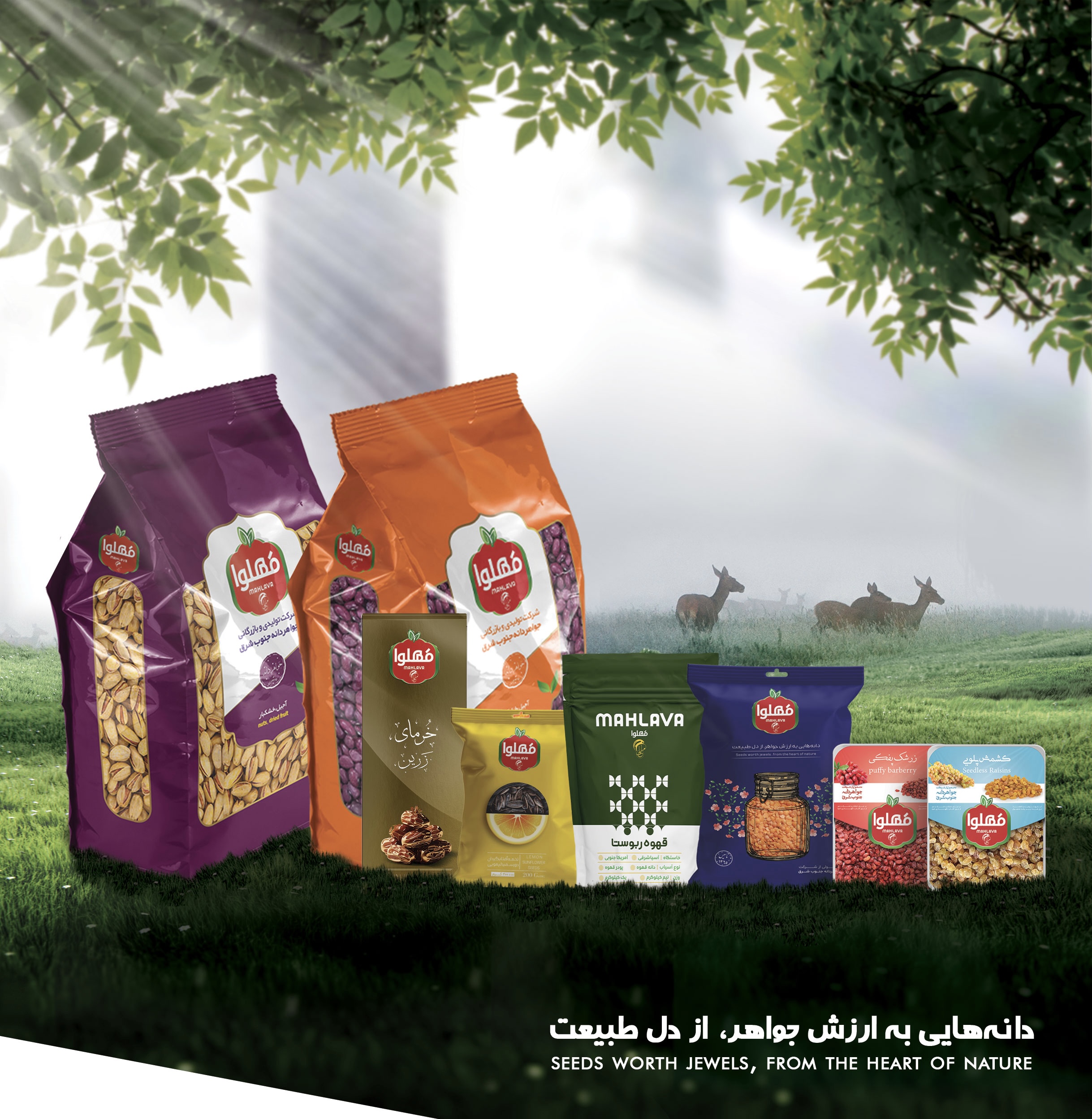 پوستر تبلیغاتی جواهردانه